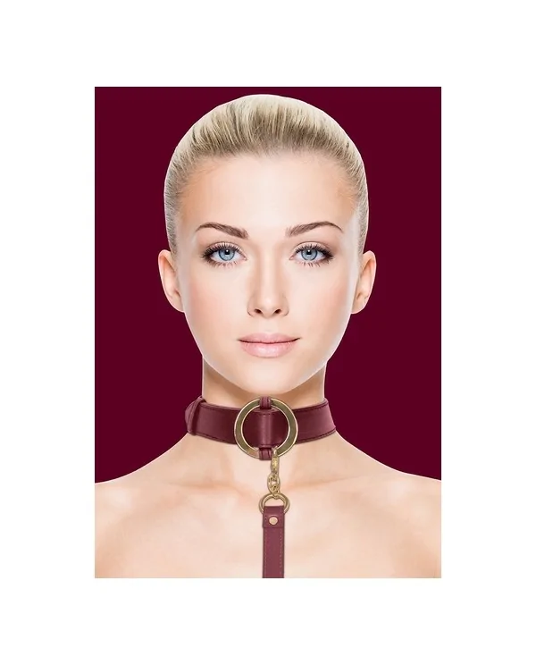 OUCH HALO COLLAR WITH LEASH BURDEOS