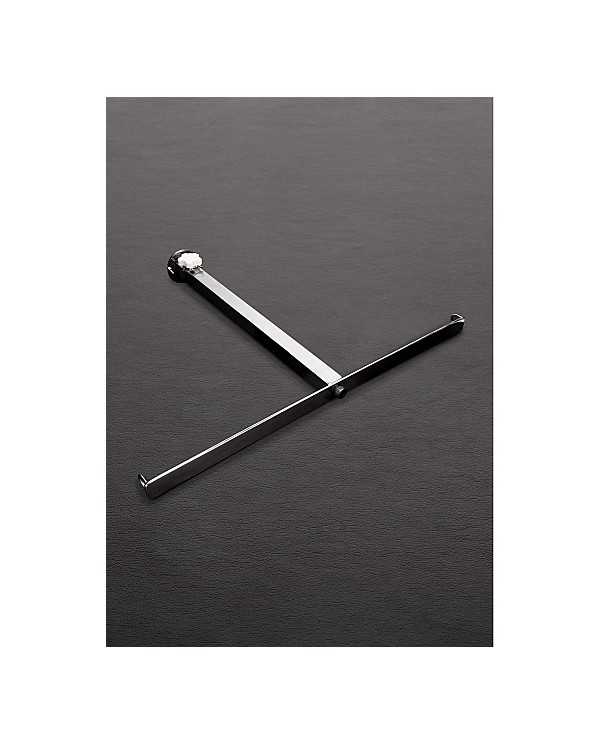 THE ANAL IMPALER ACERO INOX