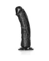 REALROCK PENE REALISTICO CURVADO CON VENTOSA 6 155 CM