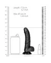 REALROCK PENE REALiSTICO CURVADO CON TESTiCULOS Y VENTOSA 6 155 CM