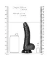 REALROCK PENE REALiSTICO CURVADO CON TESTiCULOS Y VENTOSA 7 18 CM