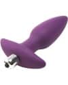 FLIRTS 10 FUNCTIONS VIBRATING PLUG PURPLE