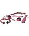 BLAZE ELITE BDSM SET RED