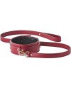 BLAZE ELITE COLLAR AND LEASH RED