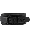 BLAZE COLLAR AND LEASH BLACK