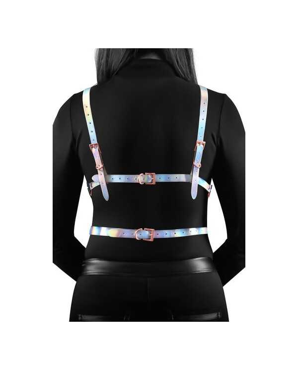 COSMO HARNESS RISQUE